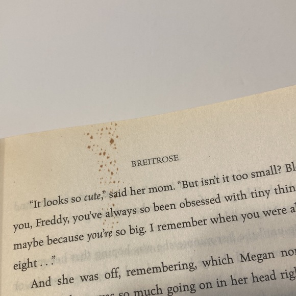 Mousenet by Prudence Breitrose - Picture 7 of 7